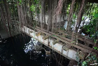 埤麻大排橋(大林線)