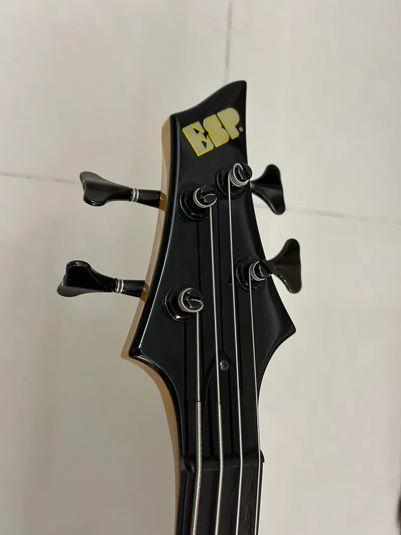 ESP FOREST-STD 測試