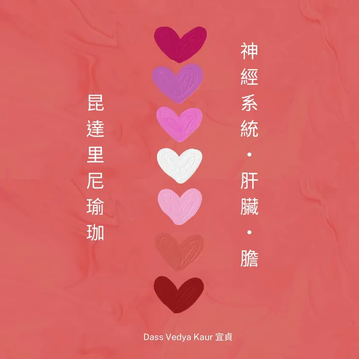 神經系統.肝臟.膽