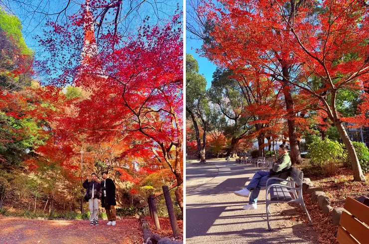 小P是認真的睡著