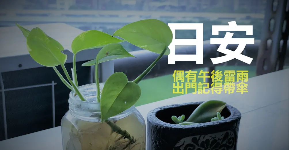 隨便說說、無法佐證。
