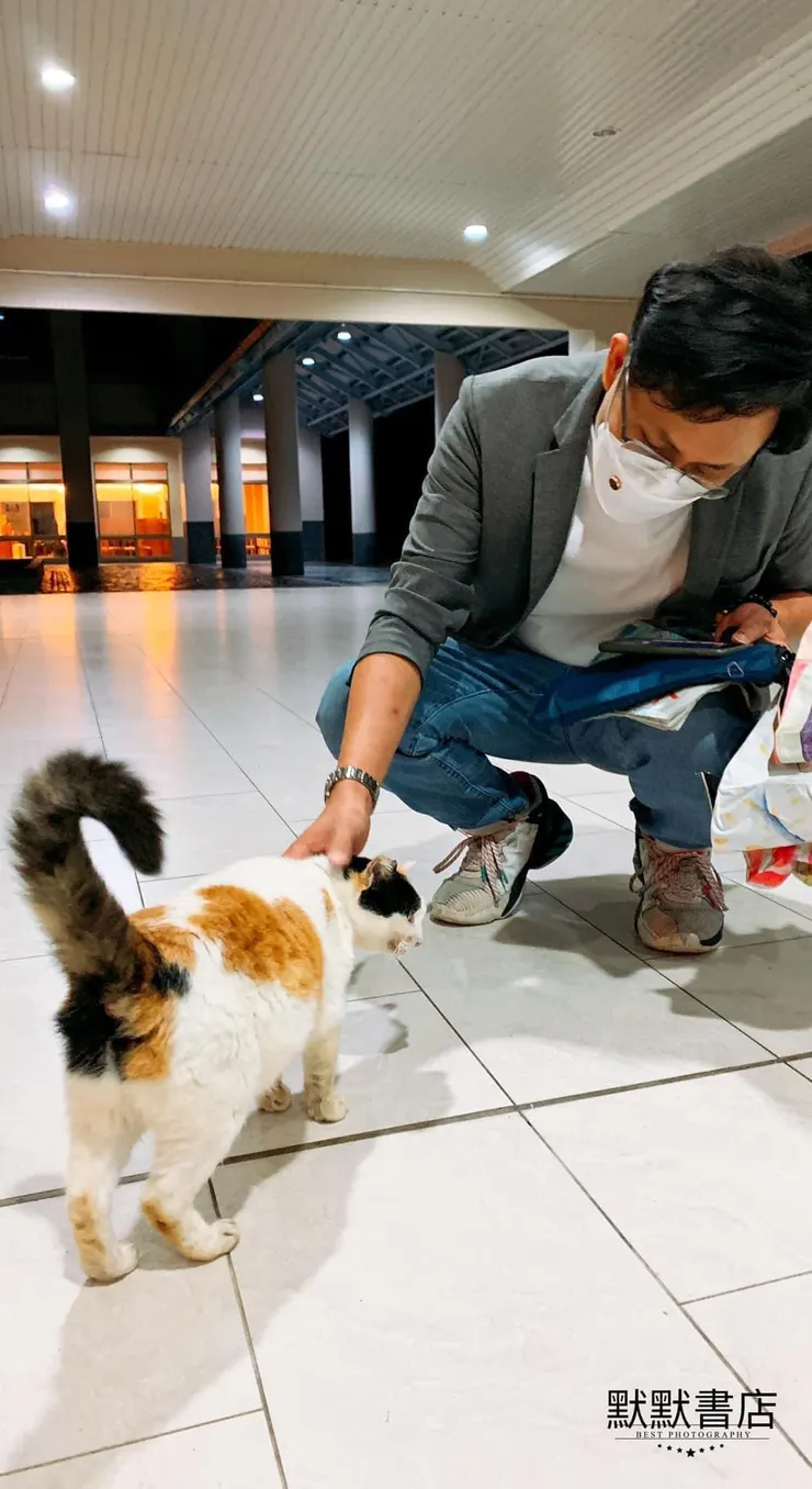 至佛光大學教課時遇到一隻愛撒嬌的貓咪