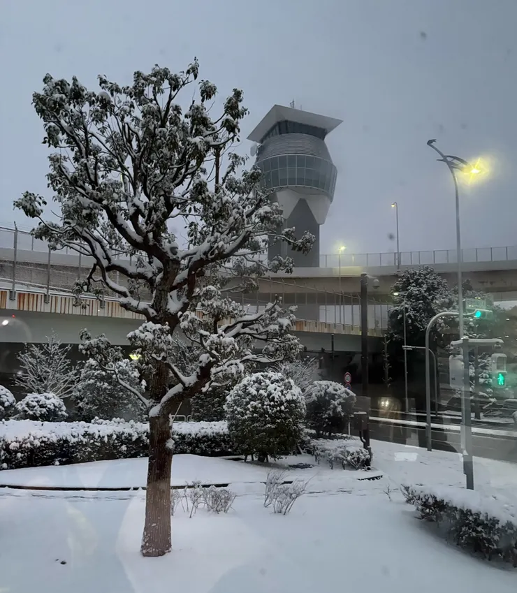 人生第一次初雪在東京