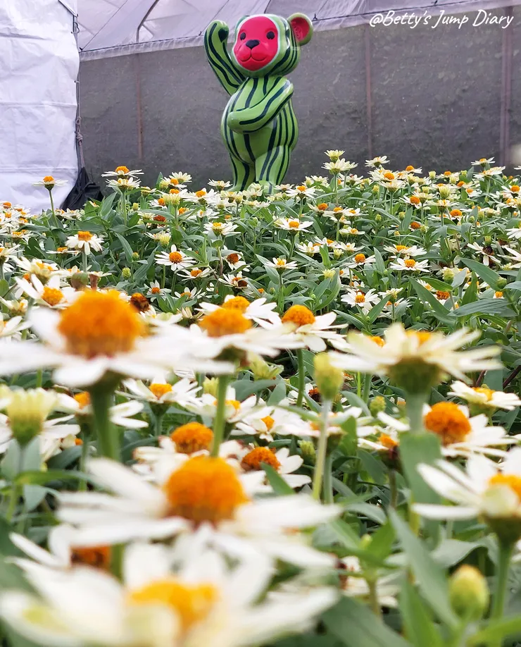 ▲2024桃園蓮花季/圖片來源:Betty's Jump Diary