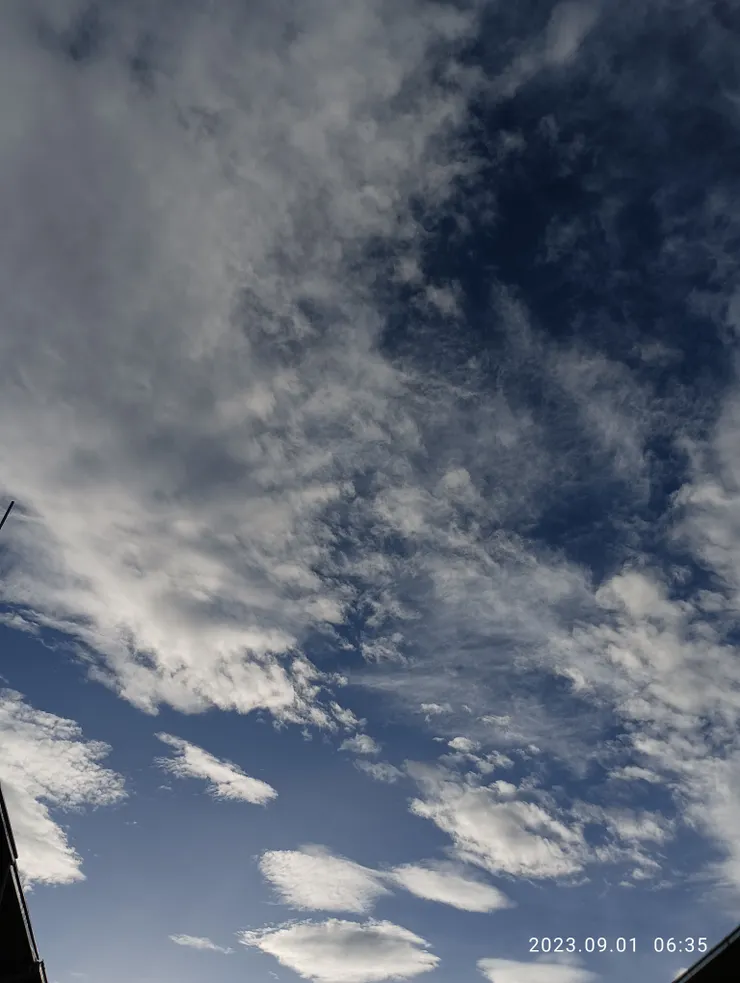 注目著/今夜/本不該許願的/自拍攝