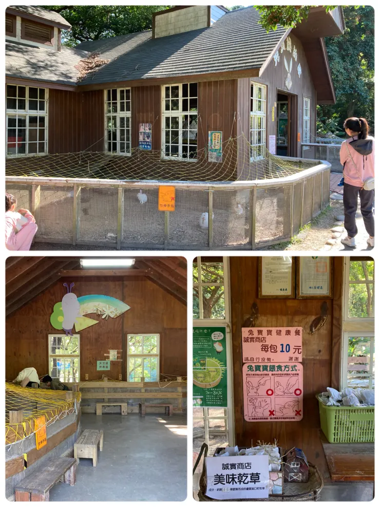 第一站是兔子跟天竺鼠餵食區