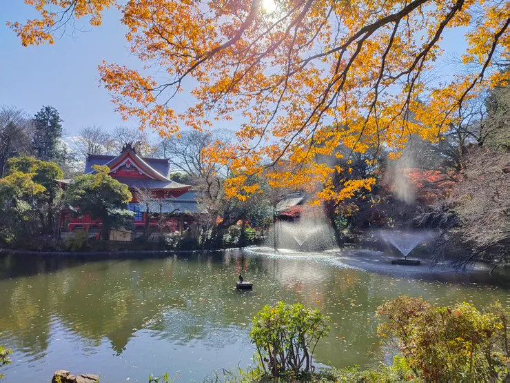 噴水池、神社、楓葉