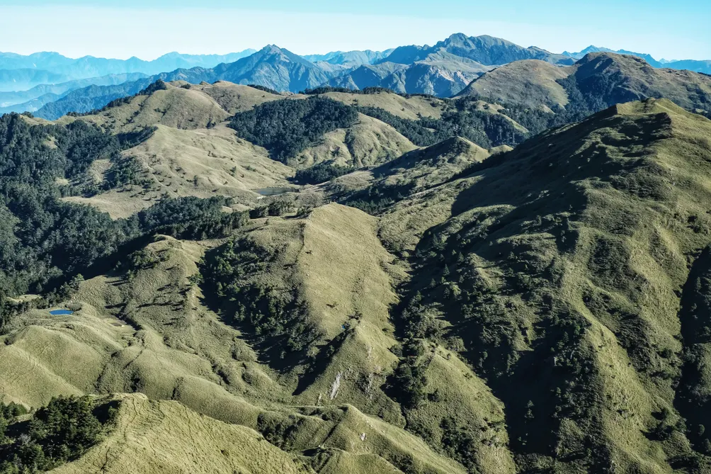 林隊長的跑山日記