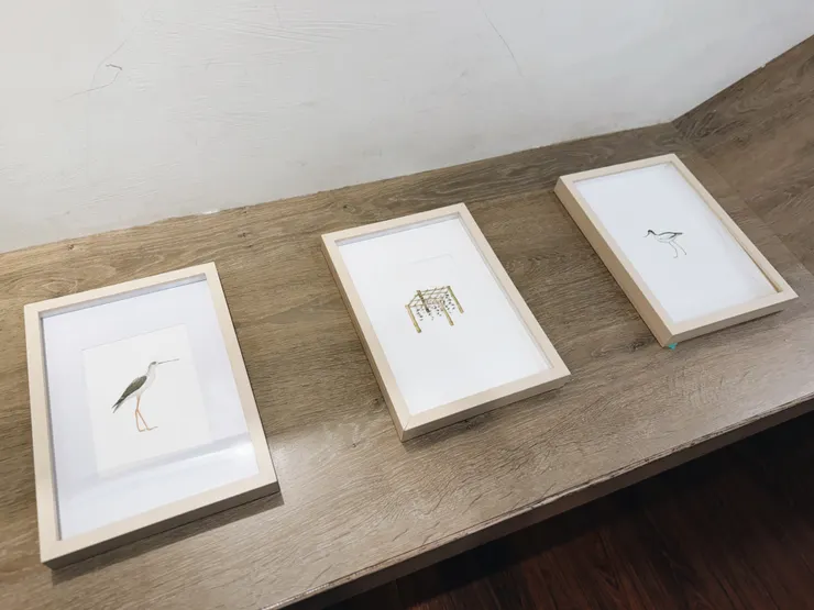 極其細膩的生物們