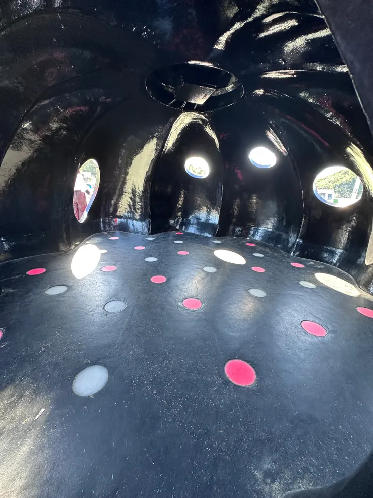 南瓜本人裡面長這樣