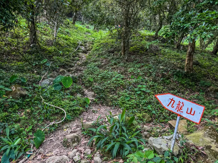 8:46 開始拉繩陡上九龍山