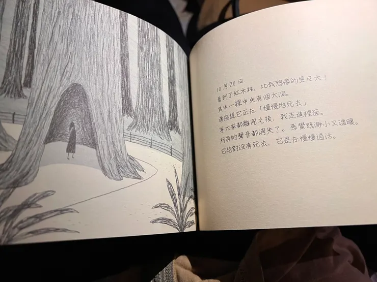 死神休假 撈金魚 Death Wins a Goldfish 書- 書中我最喜歡的一頁