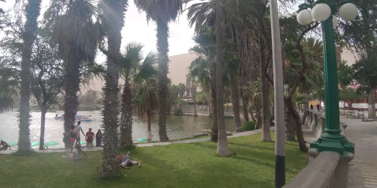 綠洲裡面還有魚！