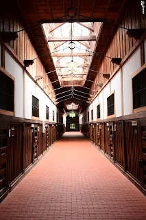 採光還不錯的舍房