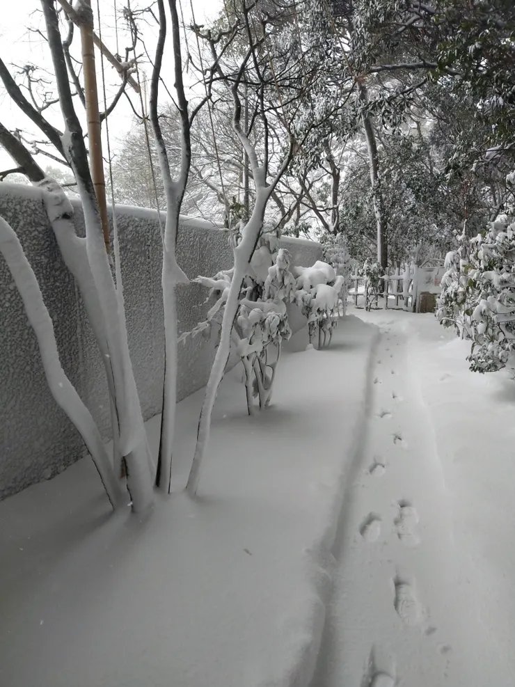 館外圍全被白雪覆蓋