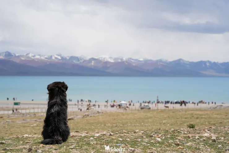 西藏 納木措 團友拍攝