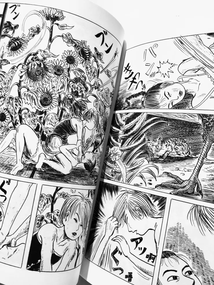 〈瑞穗與林子〉