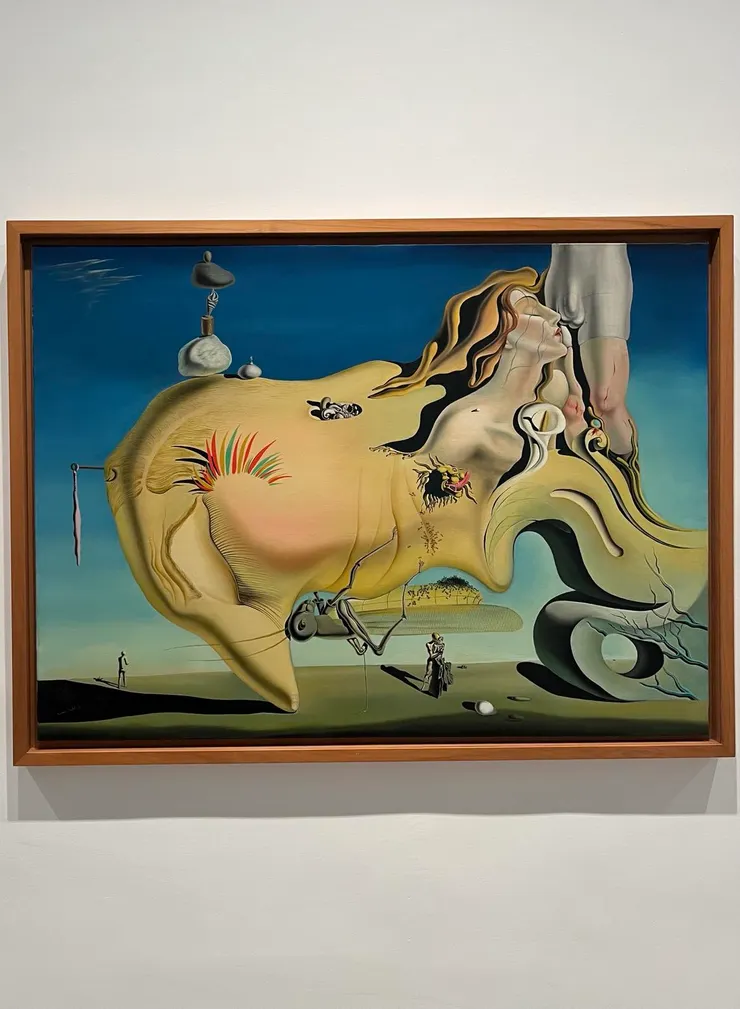 No description available.