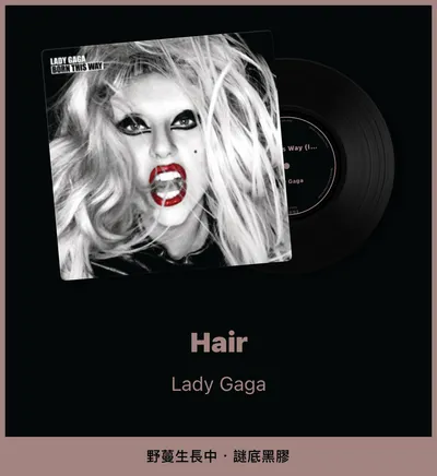 夜間放送｜Hair