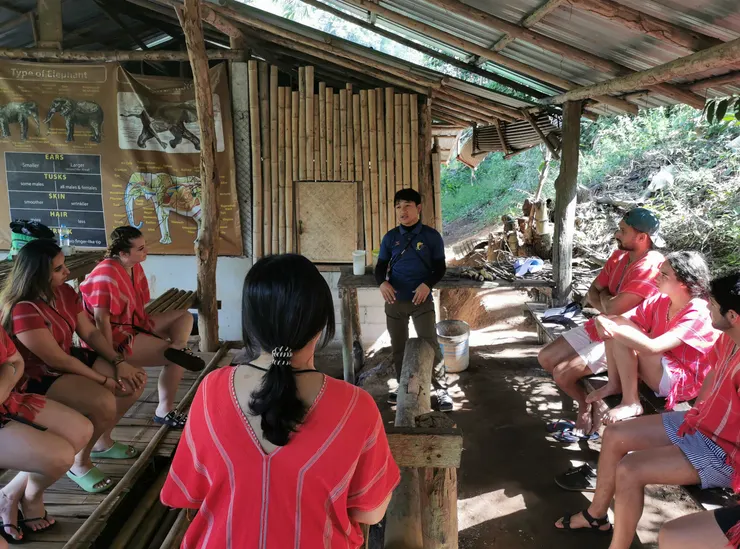 大象健康食品藥草製作講解