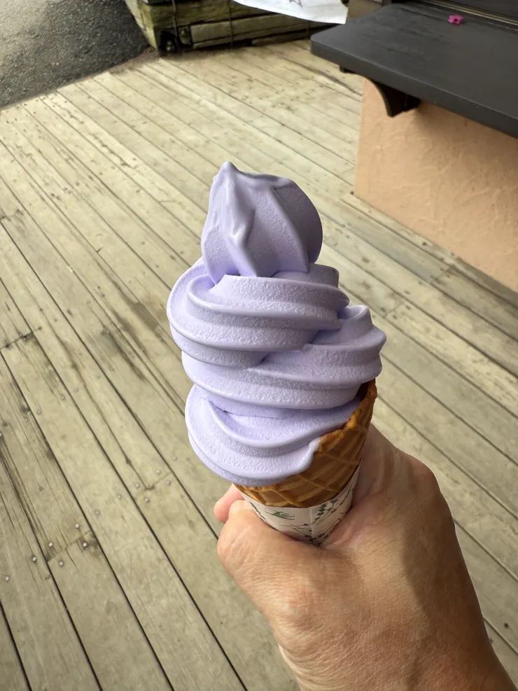 富田農場的薰衣草霜淇淋