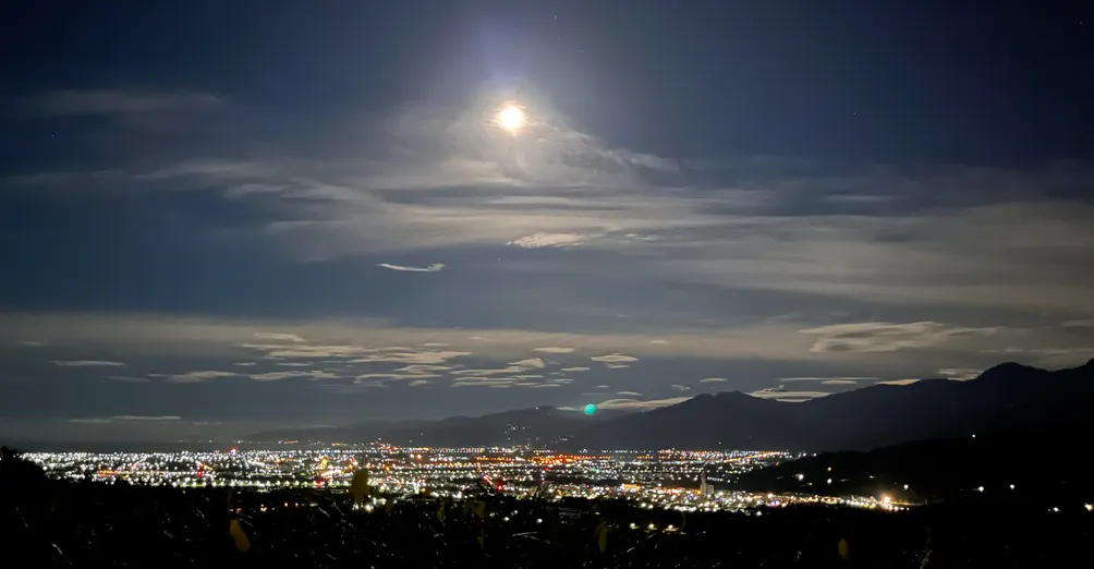 Avery想當馬鈴薯的沙龍