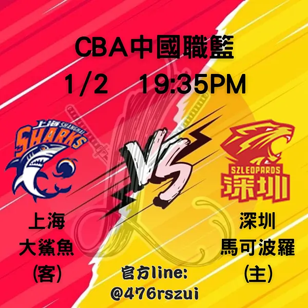 你的段落文字 (2)