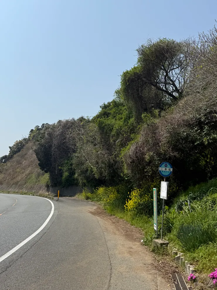 邊走邊看公車時間