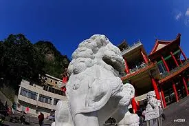 帥氣又可愛的石獅（圖片截圖於網路）