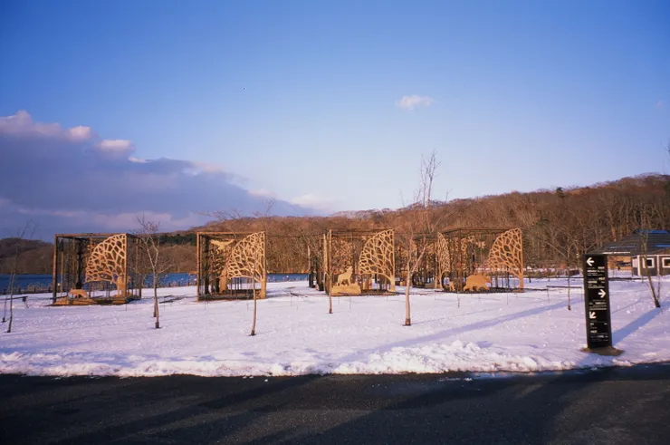 FUJI Natura Classica - FUJI Provia100F