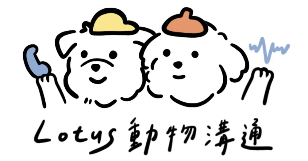 Lotus Chang的沙龍