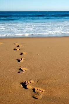 照片取材自網路