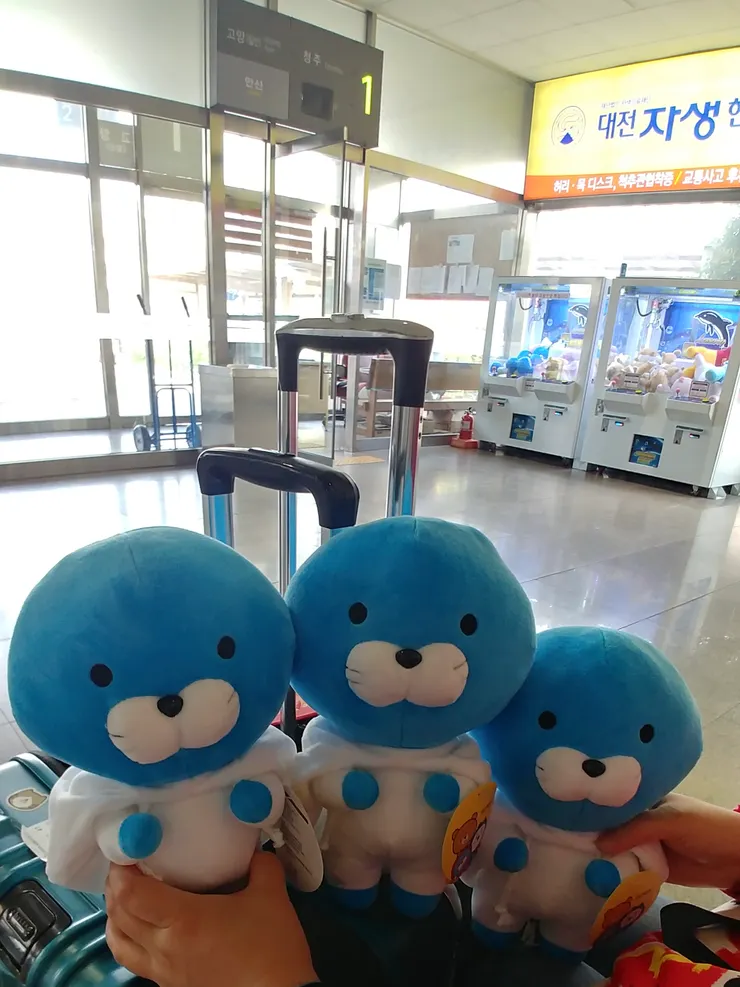  拍攝於2019年3月19日，韓國 公州綜合巴士站