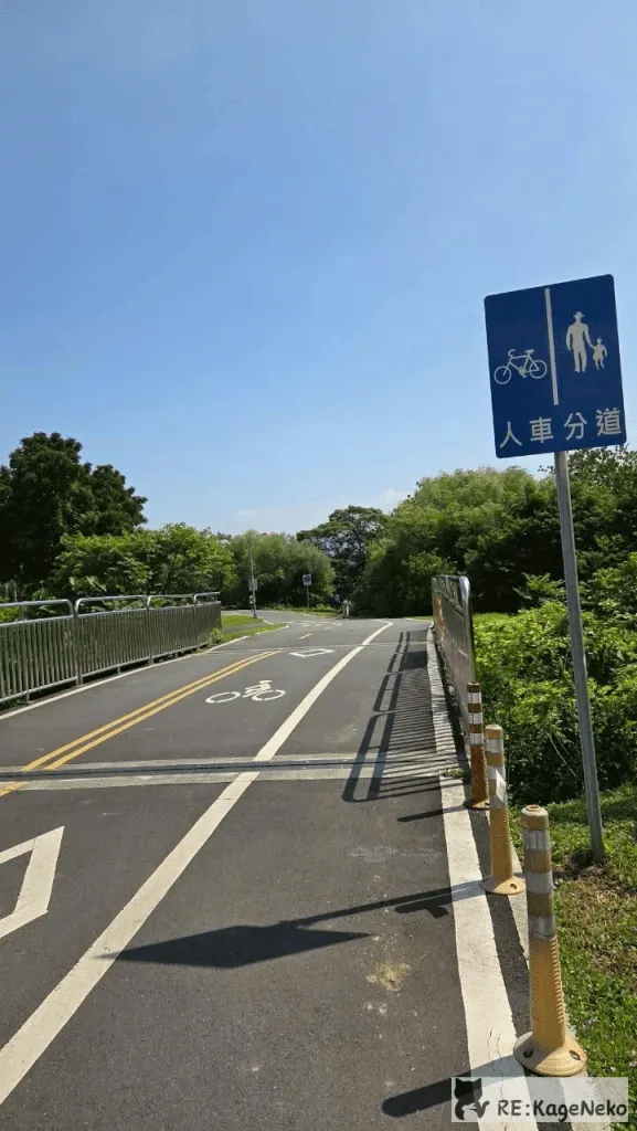 人車分道