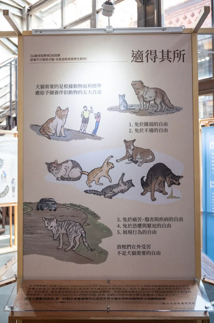 動物福利標準的五大福利，只有貓狗與人生活在一起時才能達到，野外一個都沒有。