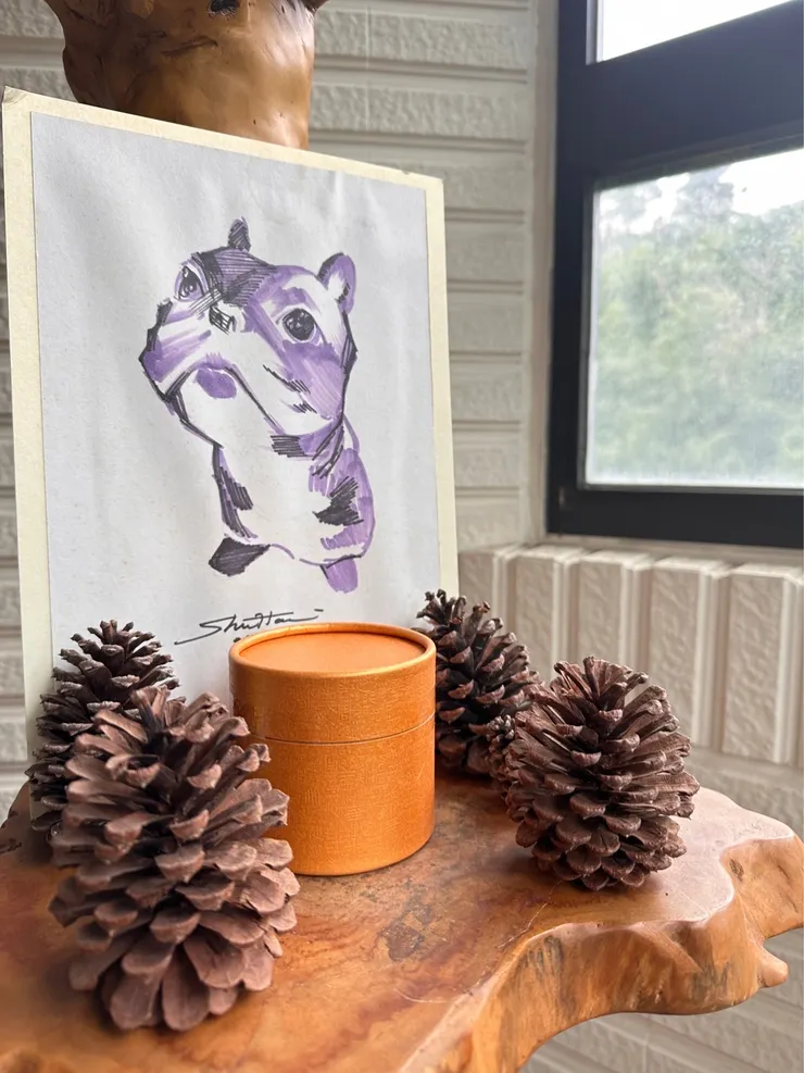 照片:豬皮姐姐提供