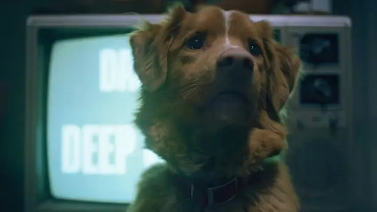 看完電影絕對會愛上超萌、演技又精湛的Indy