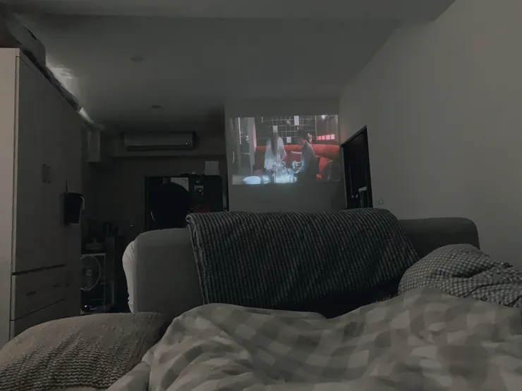 因為那幾天眼睛畏光,不能開燈,先生索性用投影機把華燈初上一二季一次看完