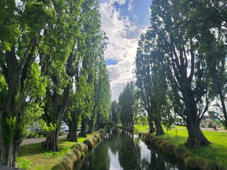雅芳河 Avon River, Christchurch