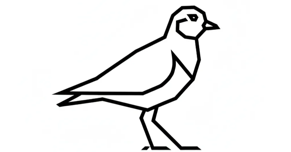 一鴴的逆風飛行