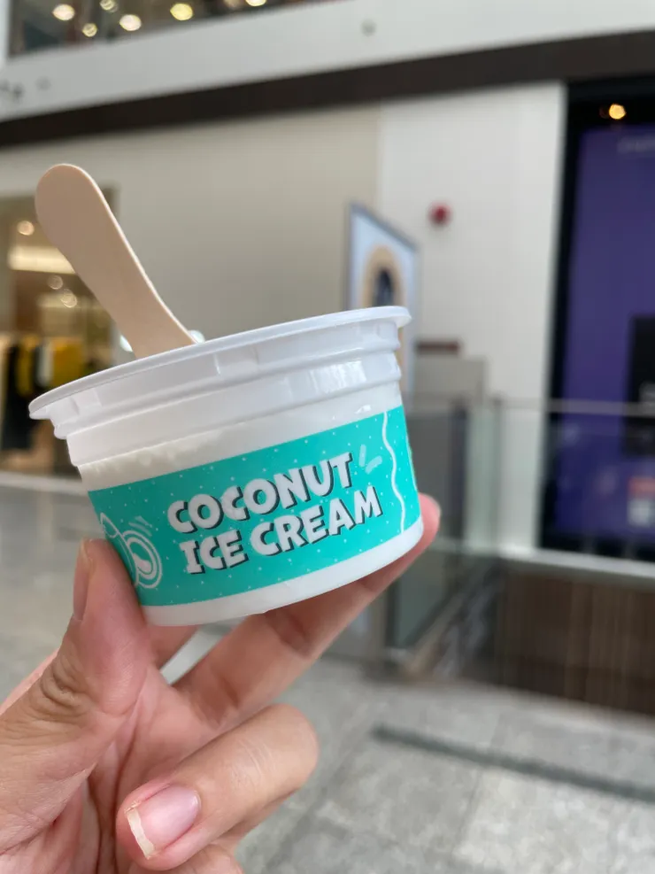 Mr. Coconut的冰淇淋