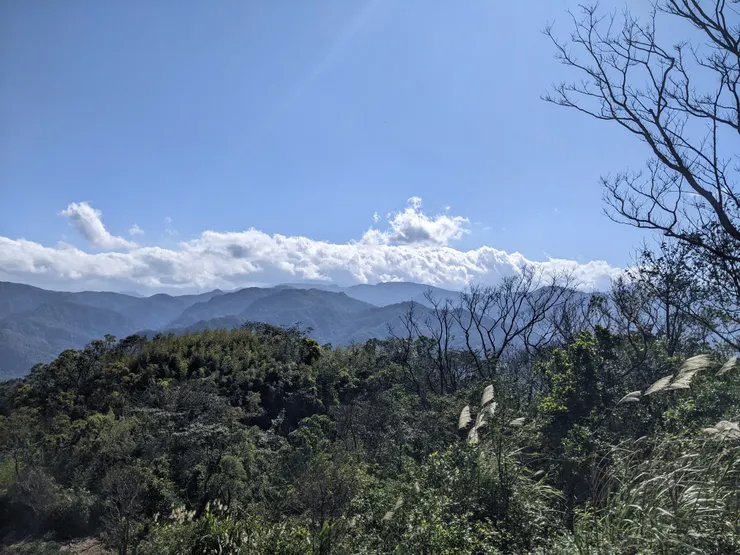 這裡的展望很好