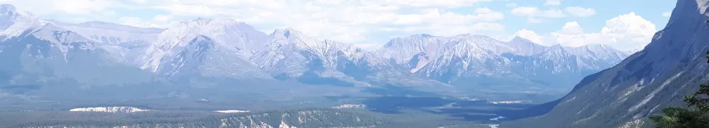 佩格澀思的沙龍