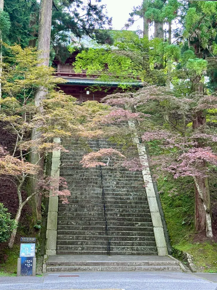 從根本中堂看文殊樓，超美