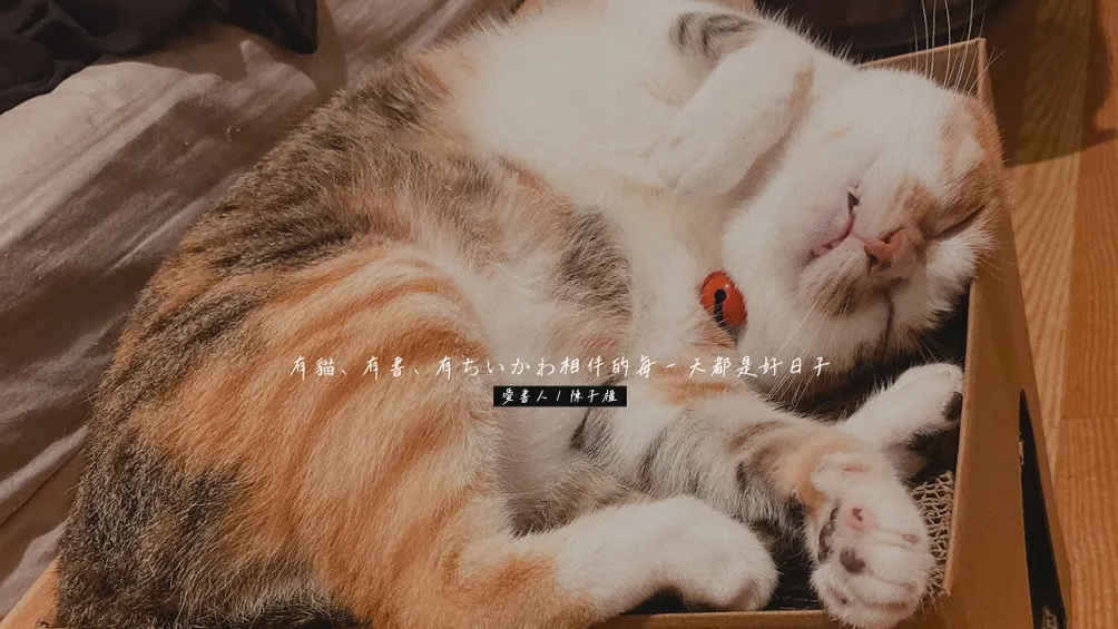 陳子楹 ✦ Love Love ／愛書人的閱讀室／