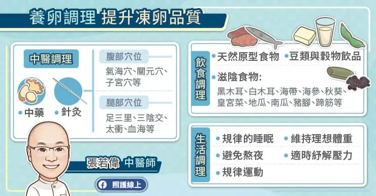 養卵調理提升凍卵品質