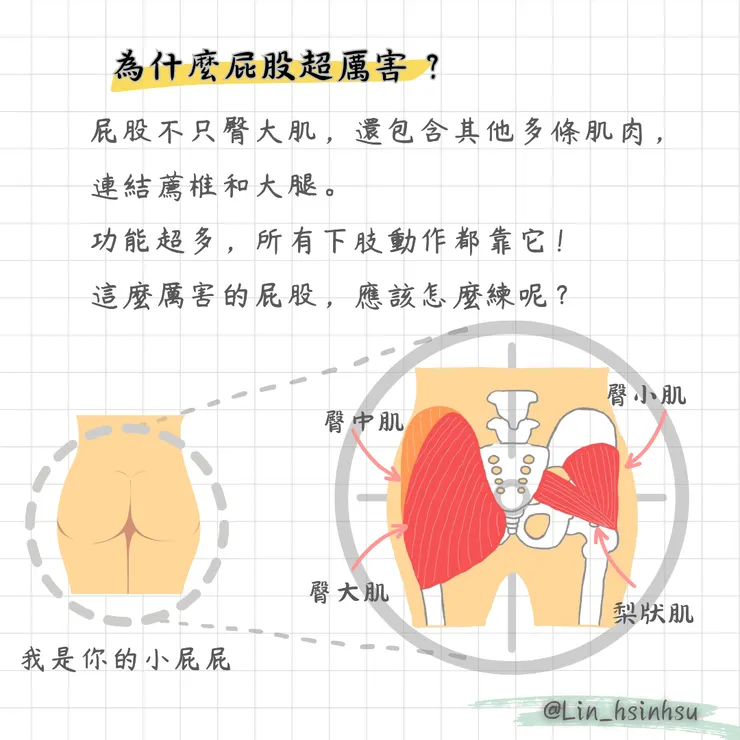 為什麼要練屁股？