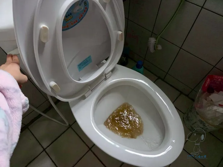 早上起床再沖水！