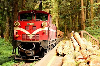 月台上也擺滿待運出的木材