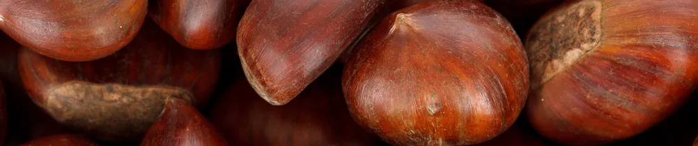 我和栗的正念生活